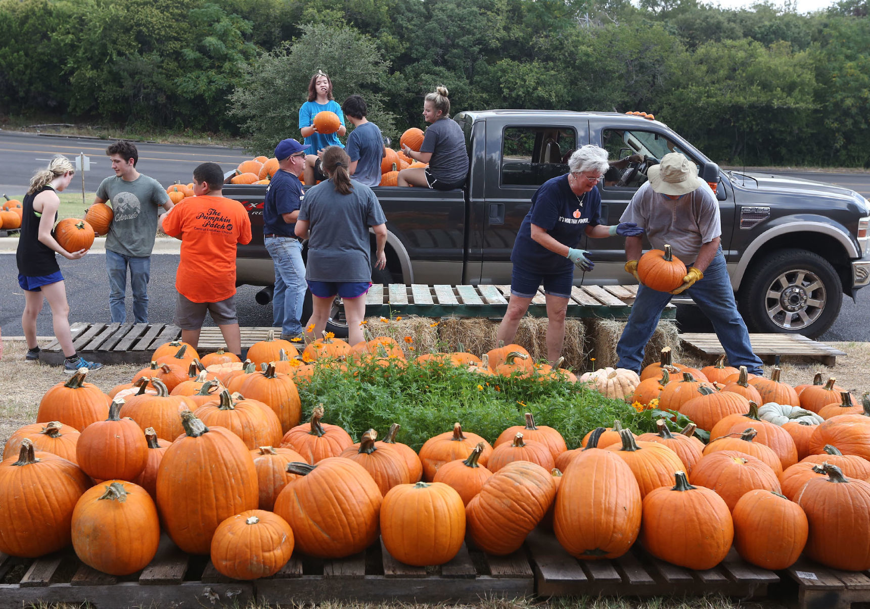 Central Christian pumpkins